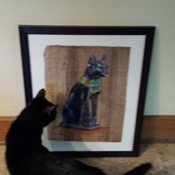 Meet your Posher, Joyce - Picture 1 of 7